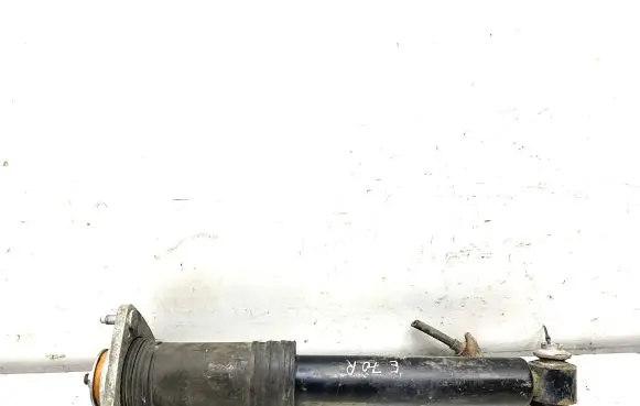 BMW X5 E70 Rear shock absorber/damper 6782878