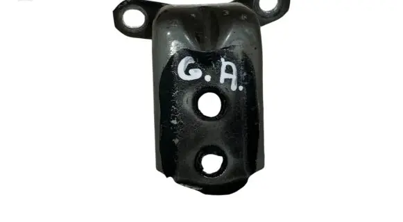 Rear door lower hinge
