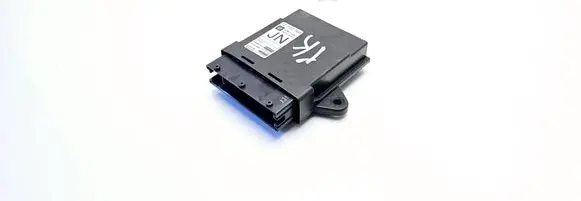 Opel Vectra C Door control unit/module 13193366