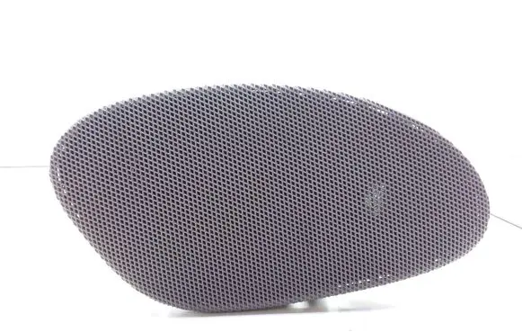 Panel speaker
