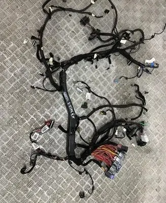 Renault Scenic IV - Grand scenic IV Front door wiring loom/harness boot 242964885R