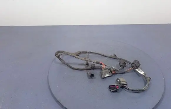 Other wiring loom