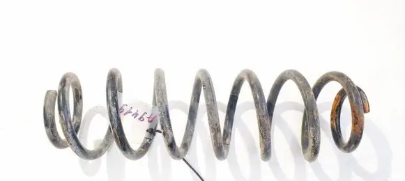 Rear coil spring