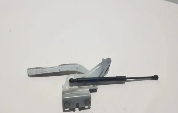Renault Talisman Engine bonnet/hood hinges 654019576R