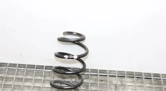 Nissan Juke I F15 Rear coil spring