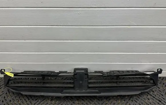 BMW X3 G01 Radiator trim 749723104 20200225 C67150110