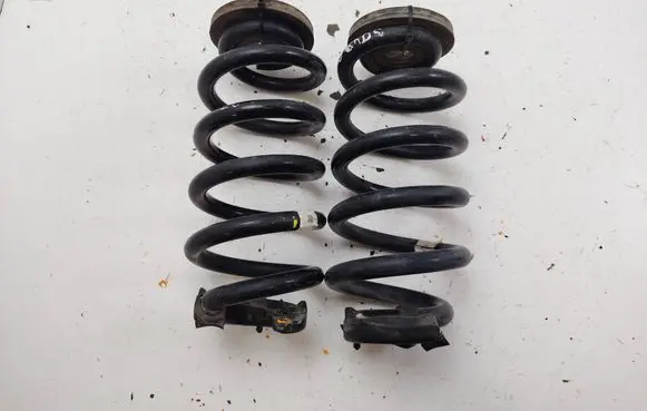 Skoda Enyaq iV Rear coil spring 
