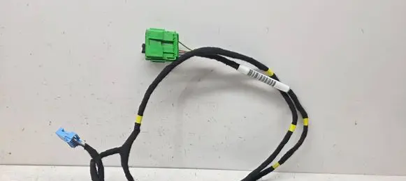 Front door wiring loom