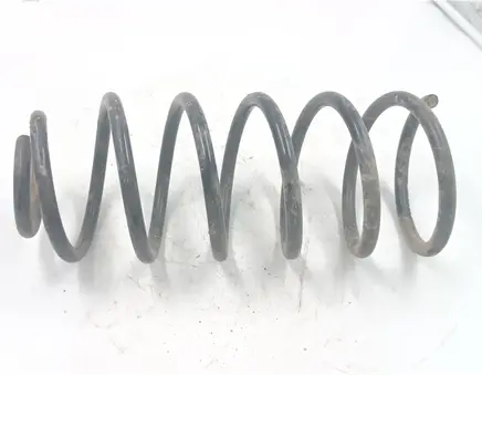 Volkswagen Bora Front coil spring 49170