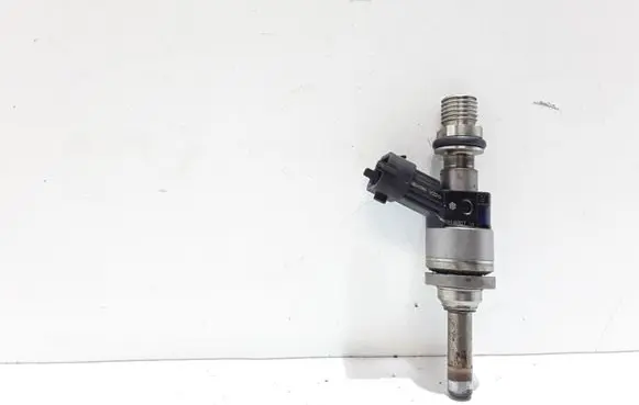 Porsche Cayenne (9PA) Fuel injector 94860523002 103507506