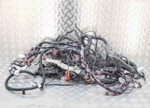 Tesla Model S Other wiring loom 111237900E 213528782A