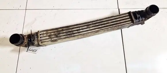 Seat Alhambra (Mk1) Intercooler radiator 132002748a