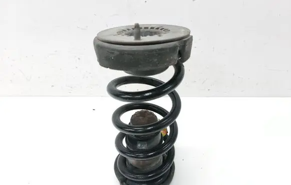 Rear coil spring