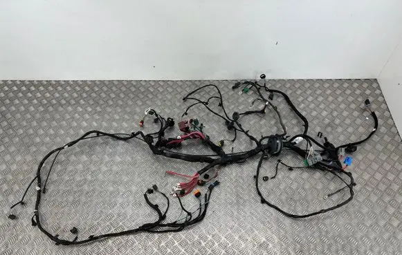 Renault Scenic IV - Grand scenic IV Engine installation wiring loom 403881129R