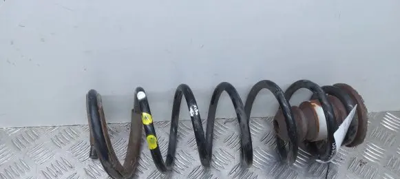 Citroen Berlingo Rear coil spring