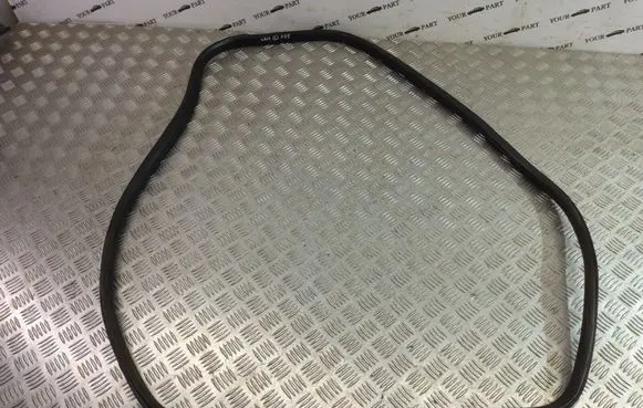 BMW X3 F25 Rear door rubber seal (on body) 7205725