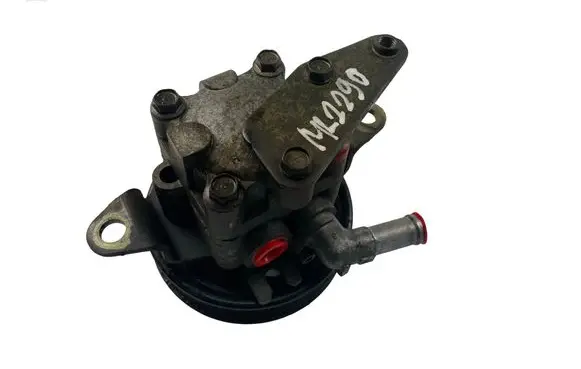 Nissan X-Trail T30 Power steering pump 491108H305