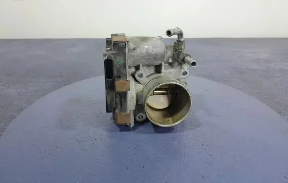 Throttle body valve