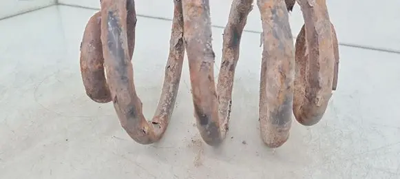 Seat Alhambra (Mk1) Rear coil spring