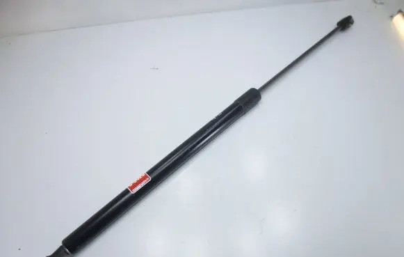 Tailgate/trunk strut/damper