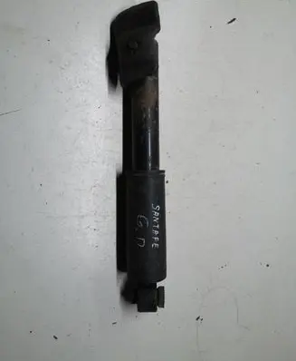 Hyundai Santa Fe Rear shock absorber/damper 55310