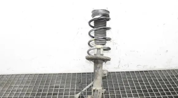 Ford Ecosport Front shock absorber/damper FN1C18K001AB