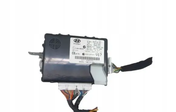 Hyundai i40 Other control units/modules 954003Z421