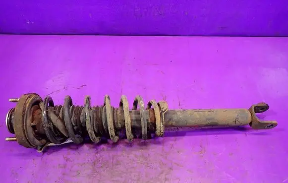 Chevrolet Evanda Rear shock absorber with coil spring 