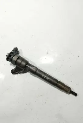 Nissan Qashqai Fuel injector H1055367 0445110