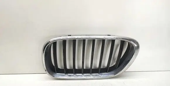 Front bumper upper radiator grill