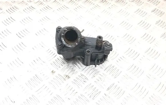 Thermostat/thermostat housing
