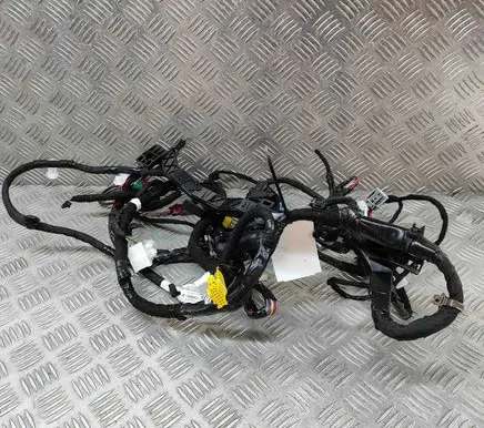 Tesla Model Y Other wiring loom 248904802B