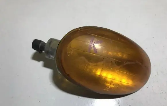 Fiat Multipla Front indicator light