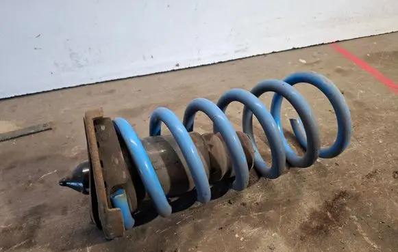 Rear coil spring