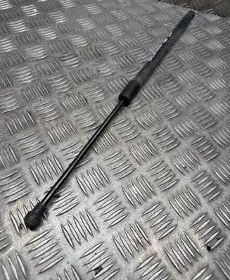 Tailgate/trunk strut/damper