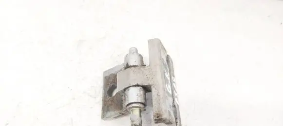 Rear door lower hinge