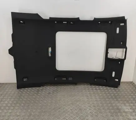 Audi RS6 C7 Headlining 4G9867506B