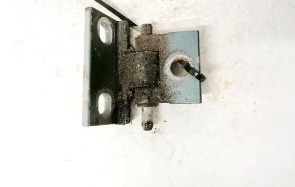 Rear door lower hinge