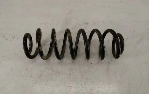 Rear coil spring