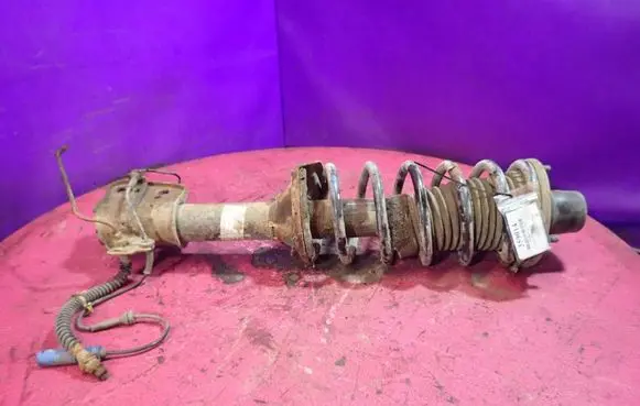 Land Rover Freelander Rear shock absorber with coil spring 