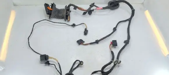 Volkswagen PASSAT B7 Front door wiring loom 3AB971121AJ TAB016297FG