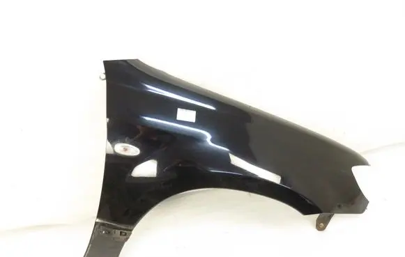 Fender