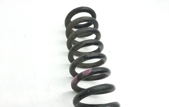 Rear coil spring