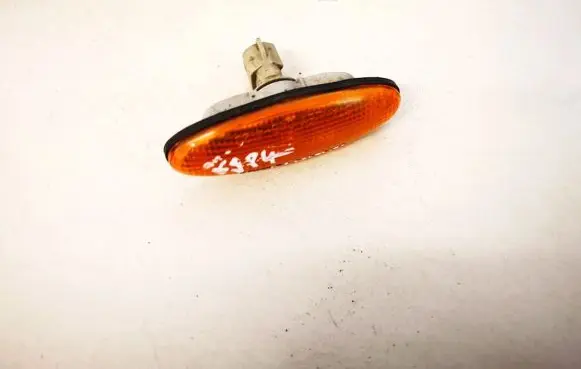 Front fender indicator light