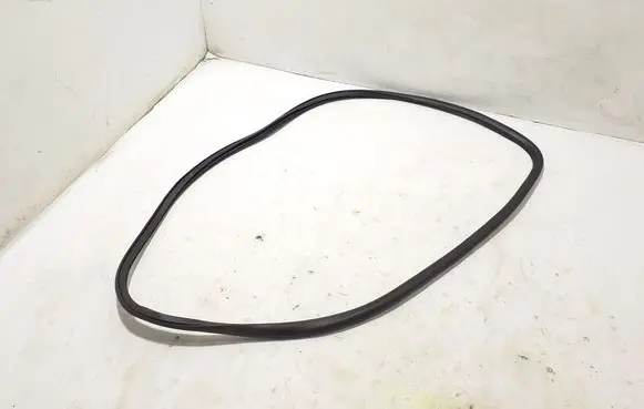 Ford Mach-E I Front door rubber seal LJ8BR20708AC