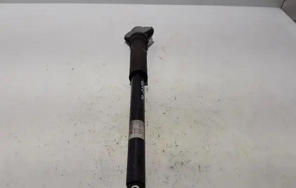 Rear shock absorber/damper