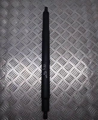 Tailgate/trunk strut/damper
