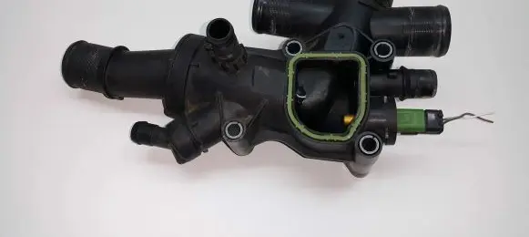 Thermostat/thermostat housing