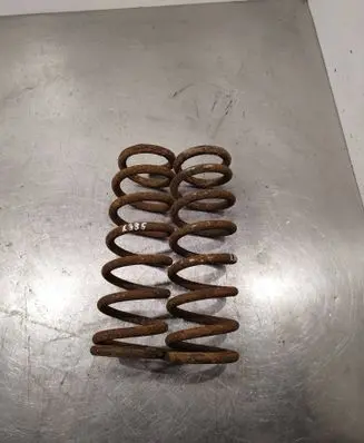 Rear coil spring