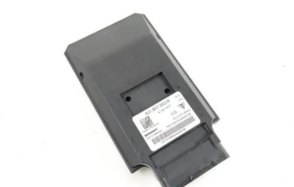 Porsche Taycan 9J1 Suspension control unit/module 9J1907553R A2C7573562500